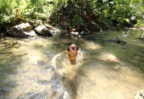 Аж защемило.