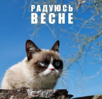 Когда вспомнил, что до весны осталась неделя