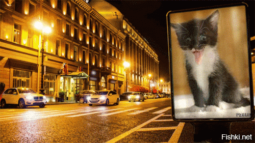 Из солянки от 18.02.2016