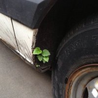 Свежая подборка автоприколов