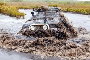 Свежая подборка автоприколов