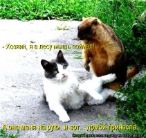 Не нагнетай!