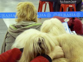 Шанс таких совпадений был 1 на 1 000 000, но они всё равно произошли