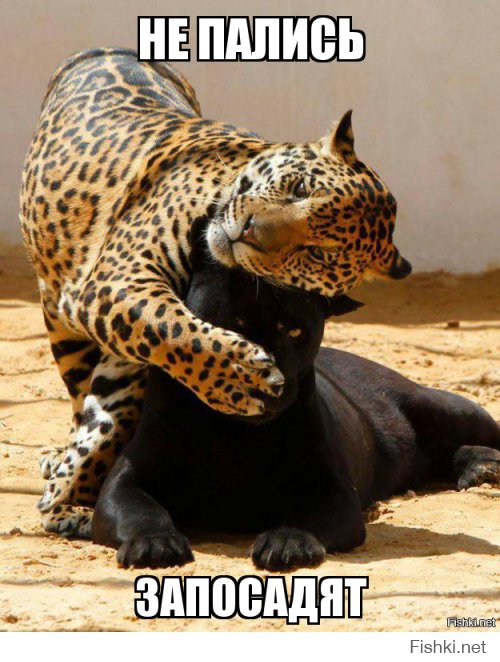 Из солянки от 26.02.2016