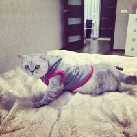 Мой:)
Моби