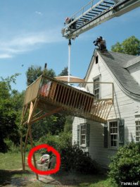 Зверюшку жалко...