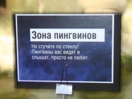 Смешные надписи и объявления