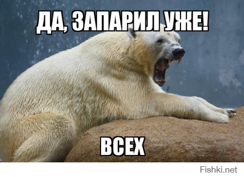 Из солянки от 27.02.2016