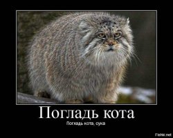 боянами обкидываться? ЗАПРОСТО!