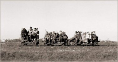 еду как-то из москвы в питер, так сказать культурку повышать...