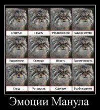 Серьёзная зверюга