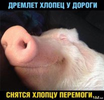 хватит пустозвонить укропская шавка!