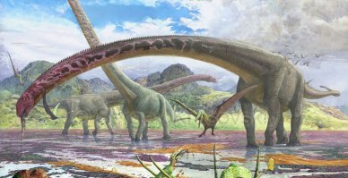 Наппомнило