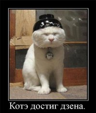 Девушка воспитана котами