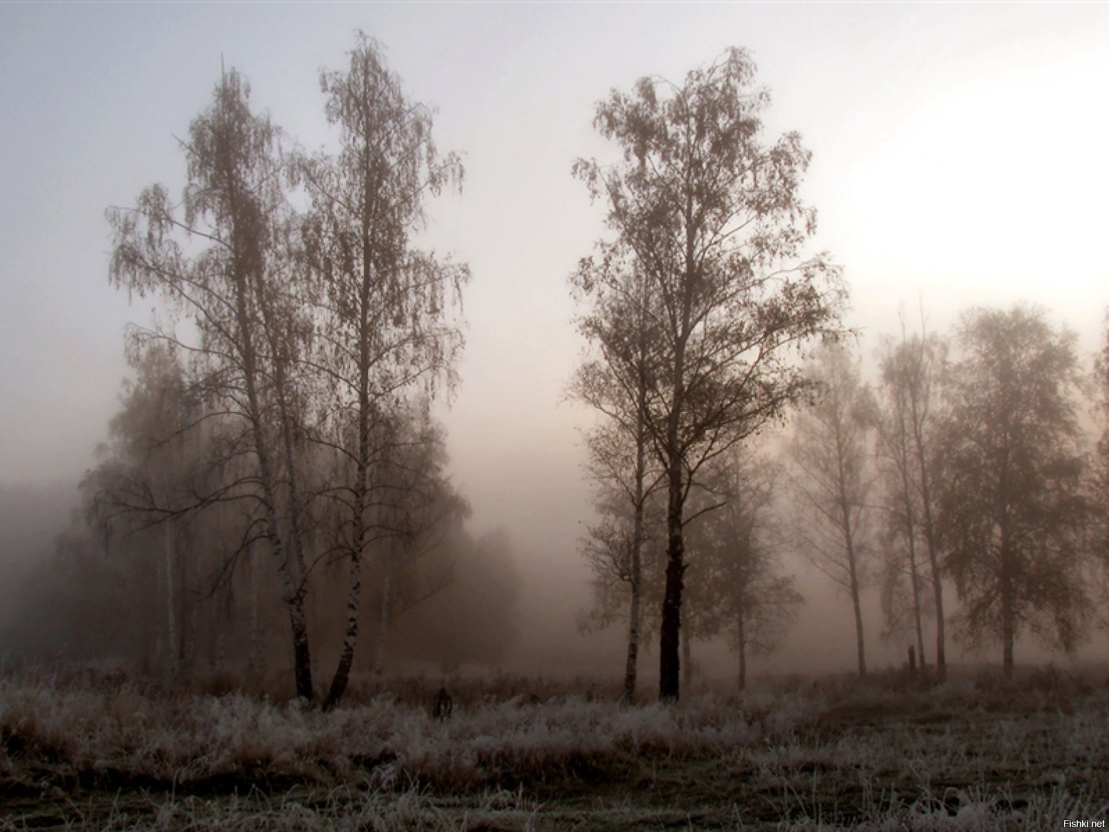 Все кругом быстро чернело