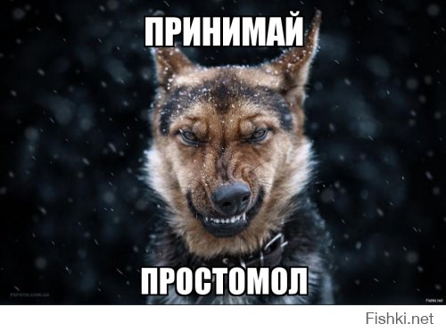 Из солянки от 27.02.2016