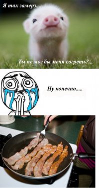 Деликатес на новый год 