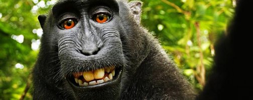 Очаровательные девушки