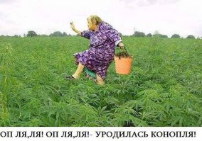 Мyp3uk: Мама тут приехала с дачи и рассказывает: "У нас вчера по участку ходил маленький щенок дрозда и каркал"
Вот думается мне - не цветы они там выращивают!