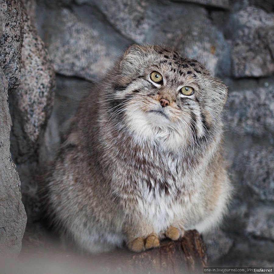 И тебе доброго утра.