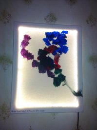 верить хочется, но... как то не верится. У меня есть две картины от слонов (свет сам уже добавил, получил ночники), но... но.