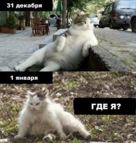 Удачный кадр
