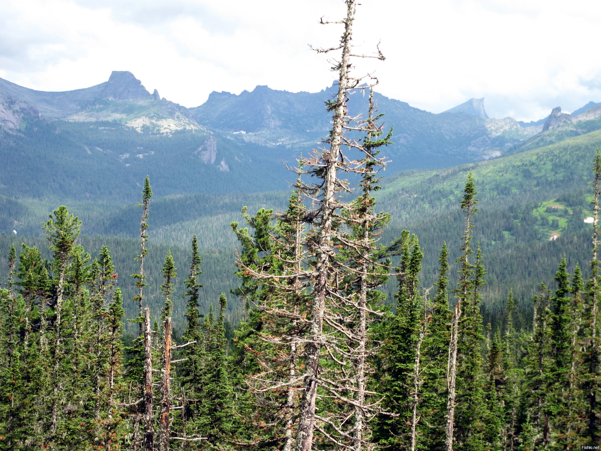 Ергаки 26.07.09