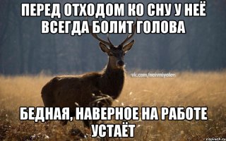 Полезно знать