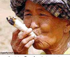 Пока такую выкурит, весь участок своей жопой прогреет. :)