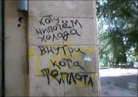 Необычные кошки