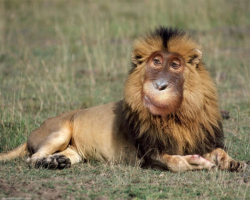 Ох и насмотрелись мы уже этого фотошопа.