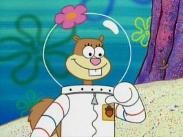 Под открытым небом: любители романтики теперь могут спать в прозрачных пузырях