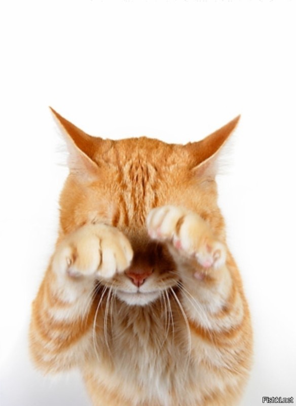 Доброе утро!