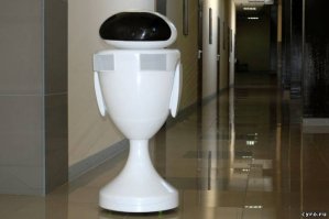 Ева из Волли сиськи нарастила?