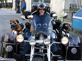 ... самый адекватный!!!