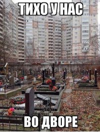 Австралийская семья раскопала страшную находку у своего дома 