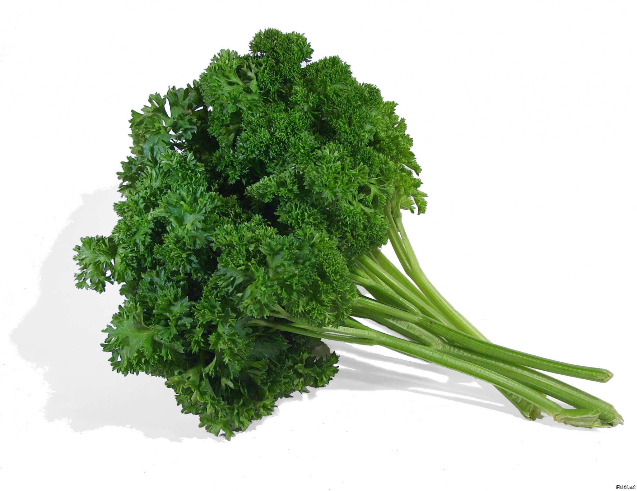 За Скарлет всегда зелень! :) И красавица и актриса хорошая! :)