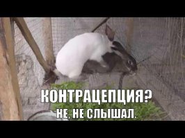 В семье норильского пожарного родился 14-й ребенок