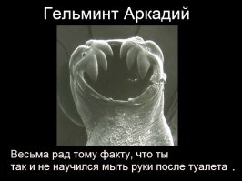 Специалист по сгущенке (почти эротика)