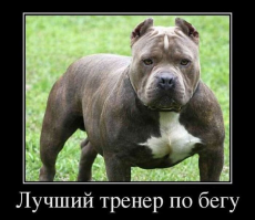 Только на спринт разве что, а так бегун из стаффа не важнецкий..