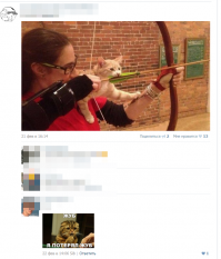 Смешные комментарии из соцсетей 