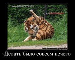 Моддер превратил 20-летний флоппи-дисковод в современный картридер 