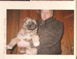 Наш "кавказец" - 85 см в холке, вес в лучшие годы выше 100 кг (взвешивали на складских весах для тары). Почти все его дети унаследовали папину стать