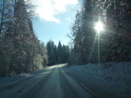 зимняя дорога