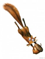 Пять секунд, полёт нормальный: белка-летяга в действии!