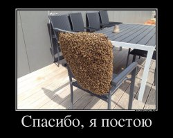 Подборка ужасно красивых фотографий