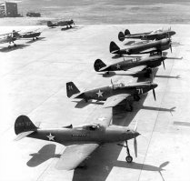 Что-то ни одного пикировщика не видно, одни истребители: Р-39 "Аэрокобра", Р-51 "Мустанг", Р-40 "Томахоук", Р-47 "Тандерболт", Р-38 "Лайтнинг". Причем по виду все первых модификаций. Американцы использовали пикировщики только на кораблях в основном: SBD Dauntless