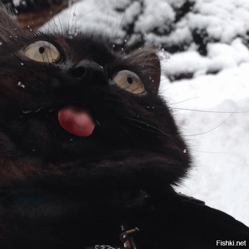 Утром после Vалерианка-party