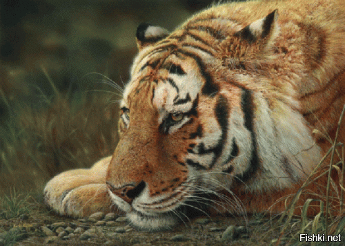 только таким)