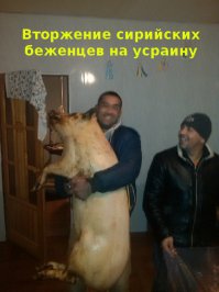 Фрики из социальных сетей